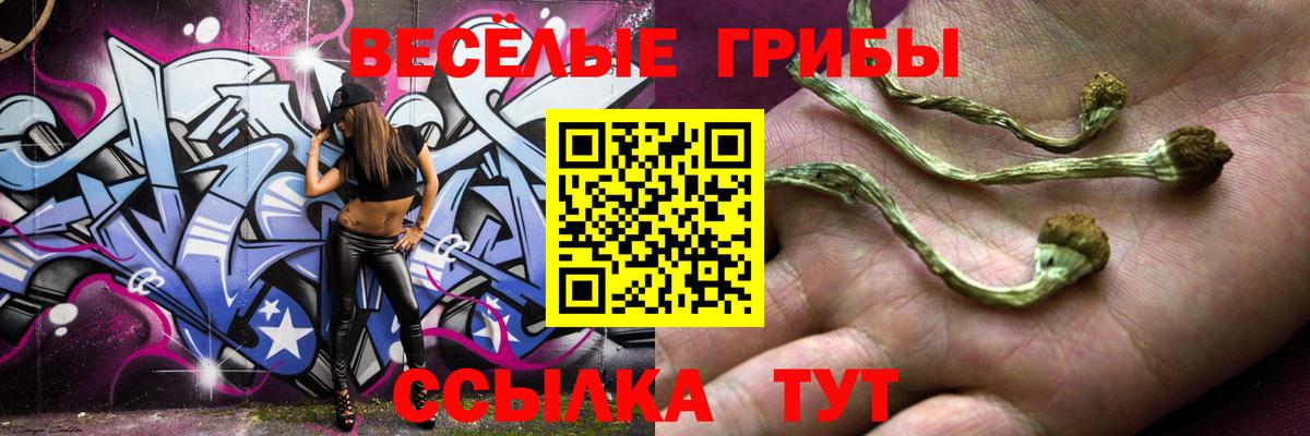 Нальчик  Псилоцибиновые грибы ЛСД  Псилоцибиновые грибы Psilocybe  Вход с VPN 