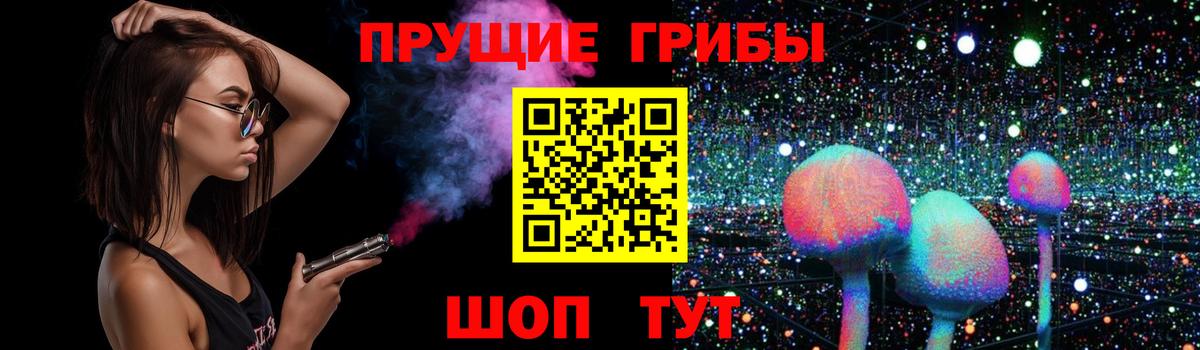 Псилоцибиновые грибы Psilocybine cubensis Нальчик